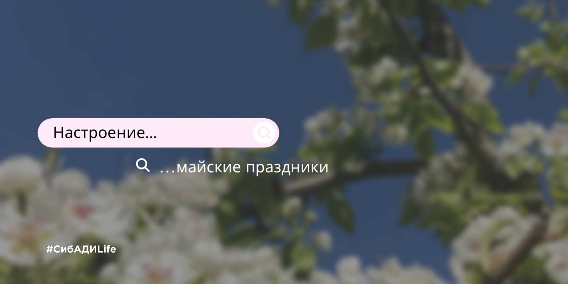 Майские праздники 2025г. 