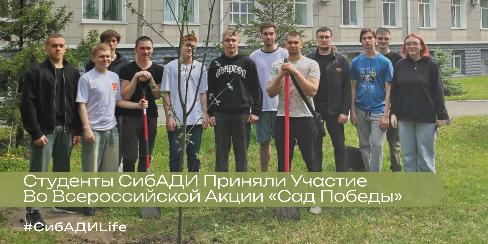 Дерево Победы