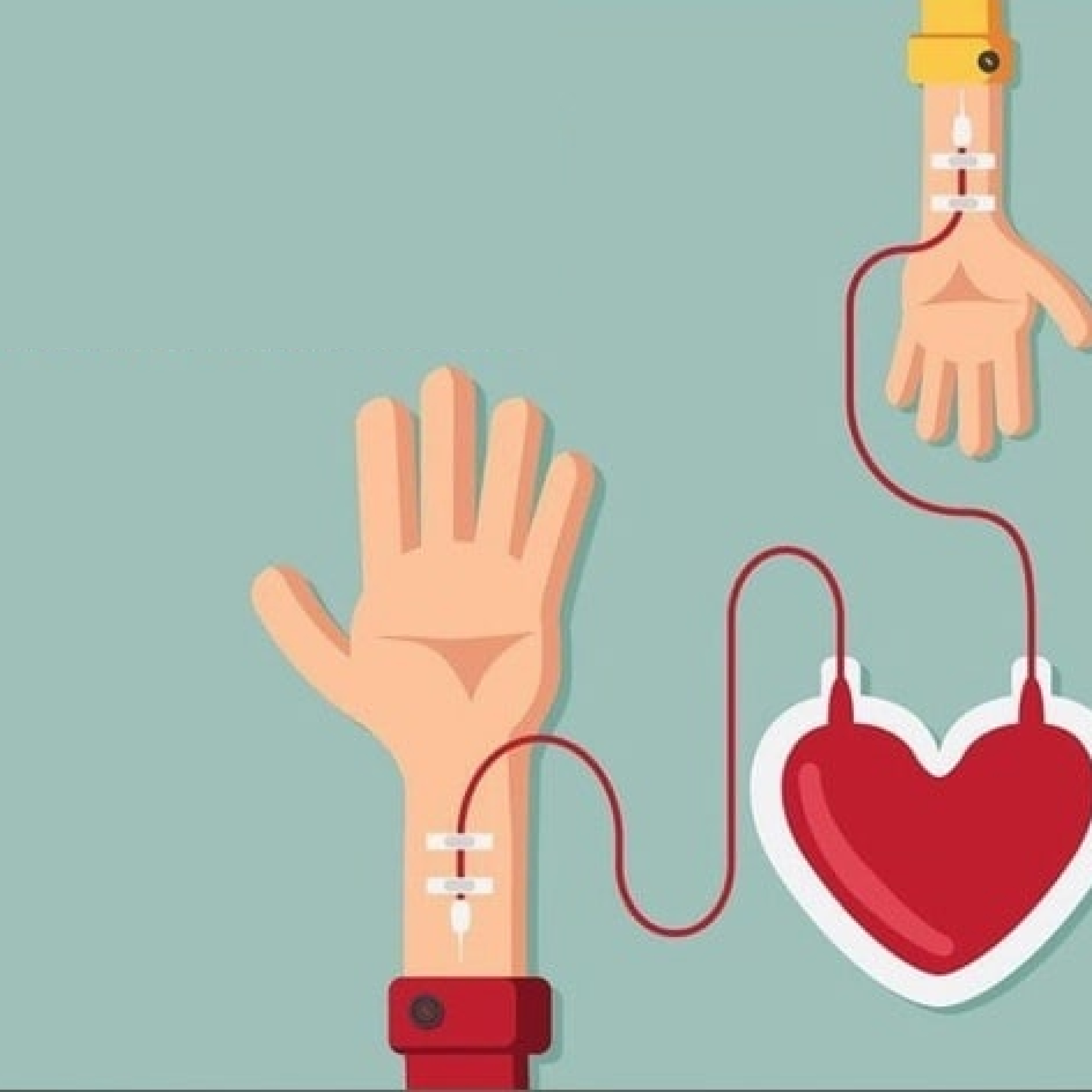 Срочно нужен донор. Срочно нужен донор. Срочно нужен донор собаке. Донор для брата. День донора плакат.